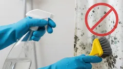 Jak szybko pozbyć się pleśni z zasłony prysznicowej – domowe sposoby