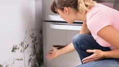 Dlaczego pleśń w domu jest niebezpieczna i jak jej zapobiegać
