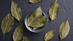 Dlaczego warto położyć liście laurowe w łazience? Korzyści i rekomendacje