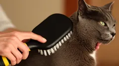Jak często czesać kota, by zadbać o jego sierść i komfort