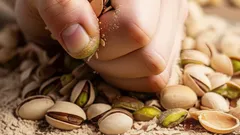 Wrzuć łupiny pistacji pod rośliny: dlaczego warto i jakie korzyści przynoszą