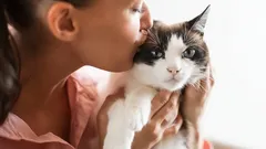 Czy koty lubią, gdy je całujesz? Jak rozpoznać, że nie przepadają za taką pieszczotą?