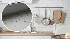 Jak pozbyć się muszek owocówek bez chemii – domowe triki krok po kroku