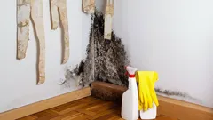 Ciemne plamy na tapetach – to nie tylko brud, to może być oznaka całej kolonii niebezpiecznej pleśni pod nimi