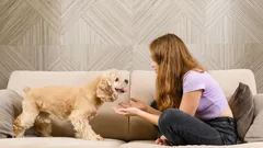 Jak rozmawiać ze swoim psem, aby cię zrozumiał: naukowe podejście