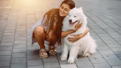 5 najbardziej przyjaznych ras psów według weterynarzy