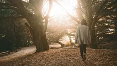 Mit 10 000 kroków: ile naprawdę trzeba chodzić dla zdrowia i długowieczności