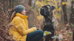 Sześć wyraźnych oznak, że twój pies naprawdę cię kocha